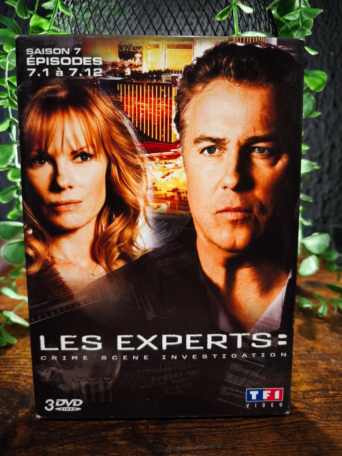 Les experts saison 7